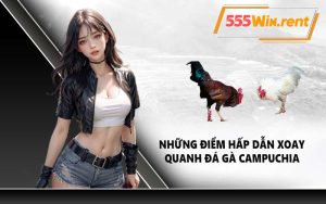 Những điểm hấp dẫn xoay quanh đá gà Campuchia