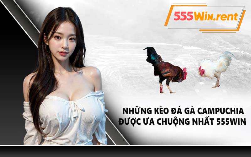 Những kèo đá gà Campuchia được ưa chuộng nhất 555WIN